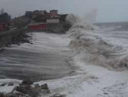 Dev Dalgalar Tsunami Korkusu Yaşattı