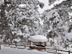 Kar, Çamlık Milli Parkı'nda Kartpostallık Görüntüler Oluşturdu
