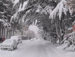 Bitlis'te 300 Köy Yolu Ulaşıma Kapandı
