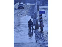 Ağaçlar Yağışa Daha Fazla Dayanamadı