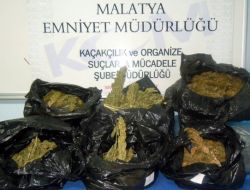 Malatya'da 14 Kilo Esrar Ele Geçirildi