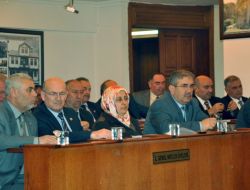 İl Genel Meclisi, İmit'e Sıcak Su Kuyusu Verilmesini Reddetti