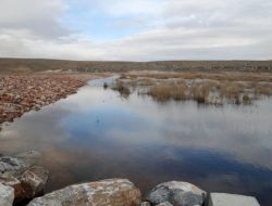 Koruma Ve Geliştirme Çalışmalarıyla Akgöl Kurumaktan Kurtuldu