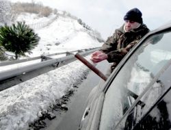 Kar Yağışı Başladı, Kuşlar Yine Unutulmadı