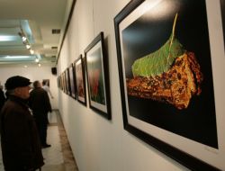 7 Yaşında Kolu Ve 4 Parmağını Kaybetti, Engelli Öğrencileriyle Sergi Açtı