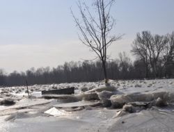 Soğuk Edirne’de Buz Devrini Yaşatıyor