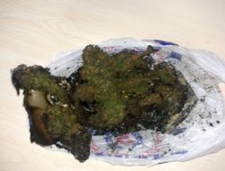 Adıyaman'da Uyuşturucu Operasyonu