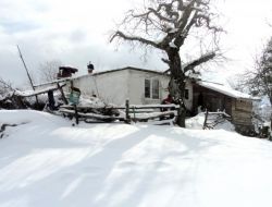 Karbonmonoksit Gazından Zehirlenen Zehirlenen Bir Kişi Hayatını Kaybetti