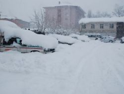 Patnos'ta Kar Hayatı Olumsuz Etkiliyor