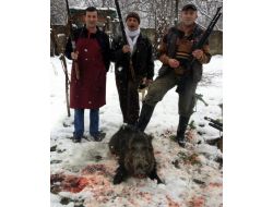 Mahalleye İnen Yaban Domuzunu Öldürdüler