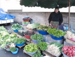 Yoğun Kar Yağışı Sebze Fiyatlarını Yükseltti