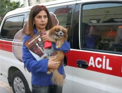 Yaralı Köpek İçin Ambulans Aldı, Belediye Teslim Edemedi