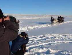 Eksi 30 Derecede Kızak Turu