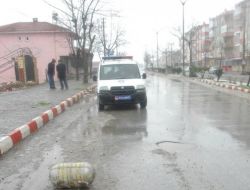 Dalgaların Caddeye Taşıdığı Cisim Panik Yarattı