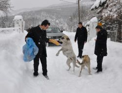 Karagöl'e Sahipsiz Köpekler İçin Ekmek Bırakıldı