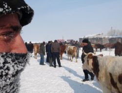 Ardahan’da Kaşlar, Kirpikler Buz Tuttu