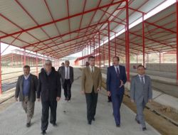 Köylünün Yüzünü Güldürecek Hayvancılık Projesi