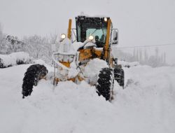 Bitlis'te 133 Köyle Ulaşım Sağlanamıyor