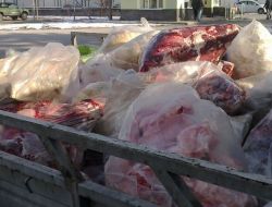 Kayseri'de Gümrük Kaçağı 1 Ton Sakatat