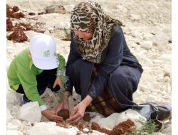 'Bi Dünya Yeşil Projesi’yle Dikilen Fidanlar Yeşerdi