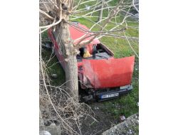 Otomobil Evin Avlusuna Uçtu