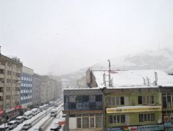 Hakkari Yoğun Kar Yağışı