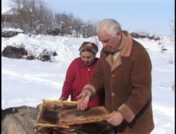 Şiddetli Soğuklar Yüzlerce Kovan Arıyı Telef Etti