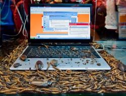 Solucanlar Teknoloji Dünyasını Tehdit Ediyor