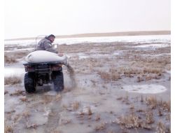 Yaban Hayvanları İçin Doğaya Yem Bırakıldı