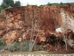 Yağışların Gevşettiği Kayalar Çay Bahçesine Düştü