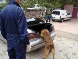 Belen'de  7 Kilo Esrar Ele Geçirildi!