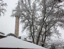 Tokat'ta Kar Yağışı Hayatı Olumsuz Etkiliyor