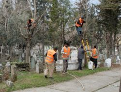 Adıyaman’da Ağaçlar Budanıyor