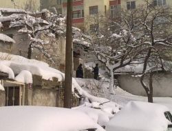 Yaşlı Hasta Kadını Hastaneye Polis Götürdü