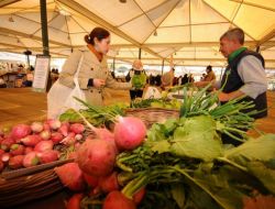 İzmir Büyükşehir, Rus Ve Amerikalı Alıcıları Organik Üreticileriyle Buluşturdu