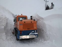 Bitlis'te Karla Mücadele İl Özel İdare Yetililerini Çileden Çıkardı