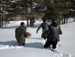 Sarıkamış’ta Yaban Hayatı İçin Doğaya Yem Bırakıldı
