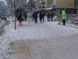 Metiner: Yerel Birimlerimiz Sınıfta Kaldı