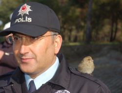 POLİSİN OMZUNA KUŞ KONDU
