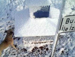 Sokak Hayvanlarını Soğuklarda Yem Patiler Doyuruyor