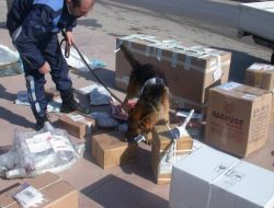 Kargoya Esrar Almaya Giden 2 Öğrenci Tutuklandı