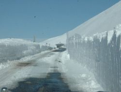 Muş-kulp Yolu Bir Hafta Aradan Sonra Trafiğe Açıldı