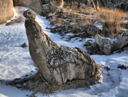 Fok Balığı Görünümlü Peribacası Görenleri Şaşırtıyor