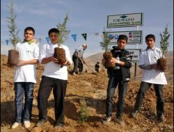 Malatya, Ortadoğu Fidan Pazarına Göz Dikti