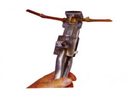 Bu Makineyle Ağaçlar Kesilmeden Aşılanabiliyor