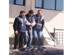 Ptt’yi Soymaya Kalkan Zanlı Adliyeye Sevk Edildi