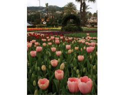 Alanya’da Sıcak Havayı Fırsat Bilenler Parklara Ve Sahillere Koştu