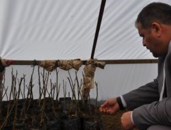 Erken Uyarı Sistemiyle Çiftçiler Daha Az İlaç Kullanacak