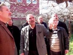 Keşap'ta Kivi Üretimi Yaygınlaşıyor