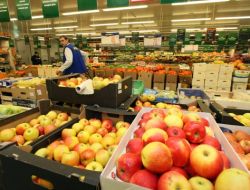 “ARAP BAHARI” İFLAS ETTİRDİ!